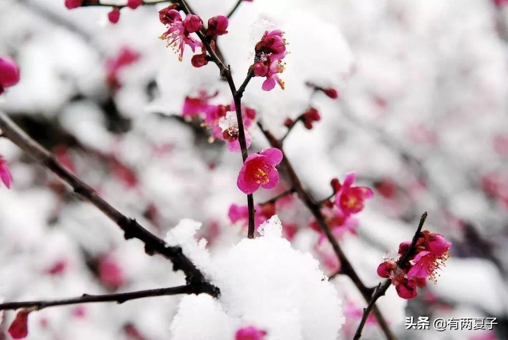 2021年春节吉祥话_春节的吉祥话怎么说_春节吉祥话