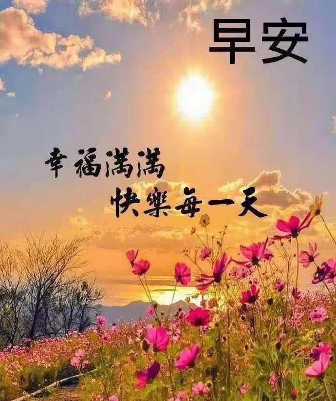 问候的暖心句子早上好_问候的暖心句子早上_暖心的早上问候语