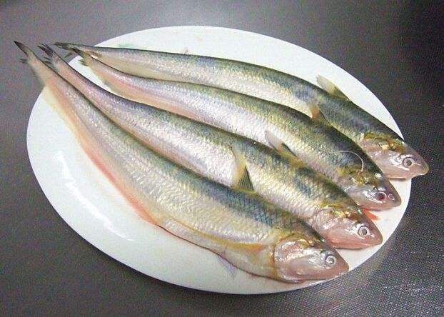 观赏红鱼能不能吃_观赏鱼吃红鱼可以放盐吗_观赏鱼红鱼可以吃吗