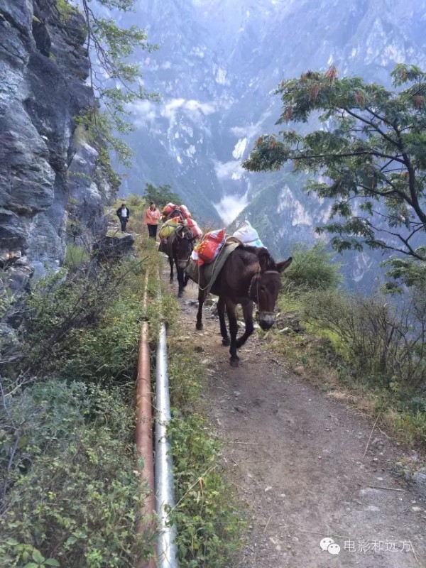 虎跳峡自由行攻略_虎跳峡游玩攻略_虎跳峡多少钱