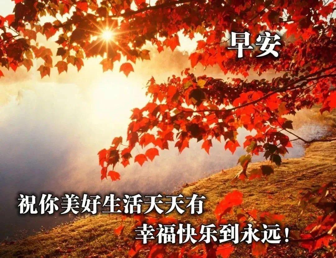 早晨问候语及关心话短句_问候话语关心早晨短句子_问候话语关心早晨短句图片