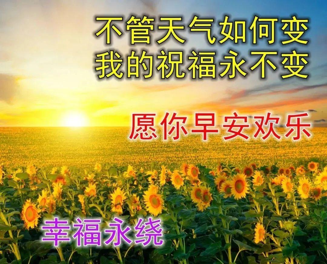 问候话语关心早晨短句图片_早晨问候语及关心话短句_问候话语关心早晨短句子