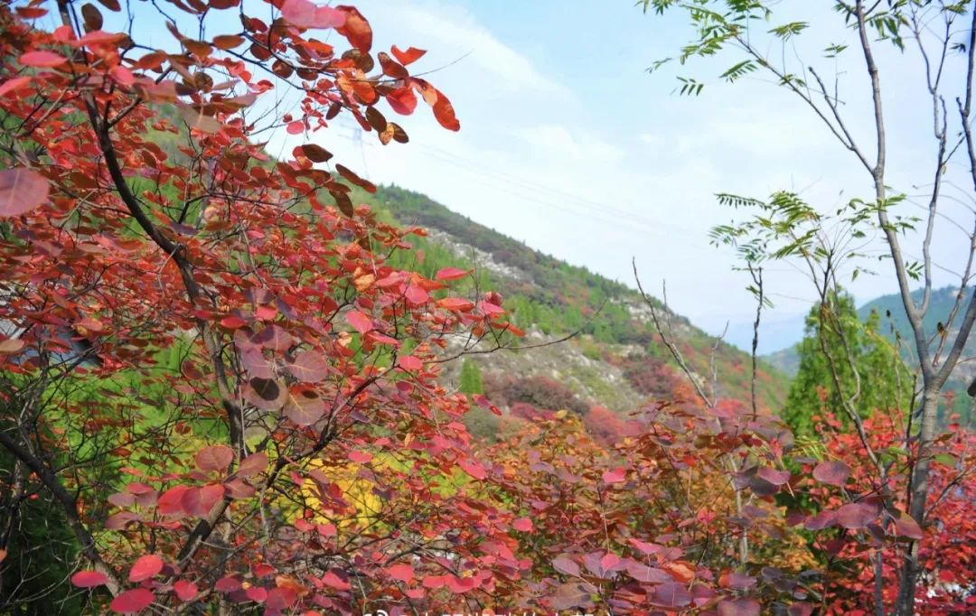 济南南部山区游玩攻略_济南南部山区自驾游攻略_济南南部山区一日游最佳攻略