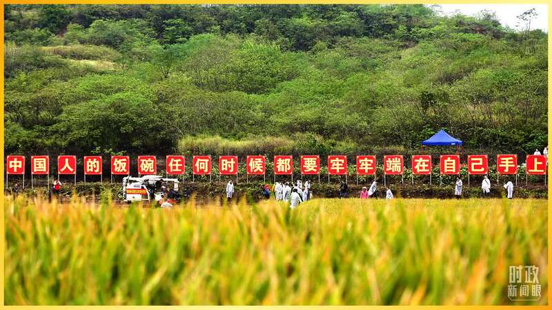 观后感新年贺词大全_新年贺词观后感_观后感新年贺词100字