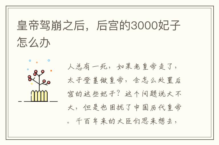 皇帝驾崩之后，后宫的3000妃子怎么办