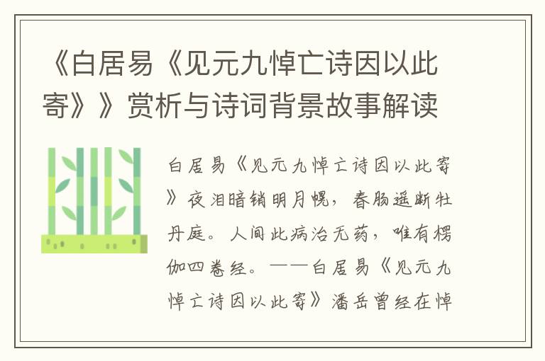 《白居易《见元九悼亡诗因以此寄》》赏析与诗词背景故事解读