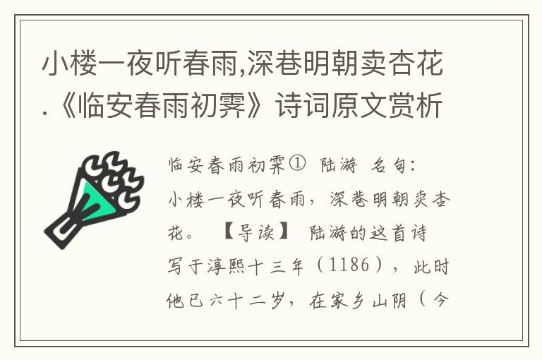 小楼一夜听春雨,深巷明朝卖杏花.《临安春雨初霁》诗词原文赏析|名句解读