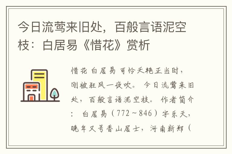 今日流莺来旧处，百般言语泥空枝：白居易《惜花》赏析