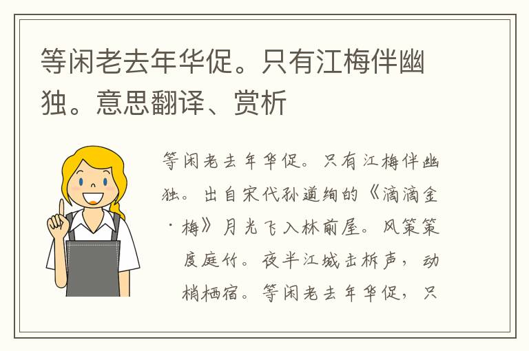 等闲老去年华促。只有江梅伴幽独。意思翻译、赏析