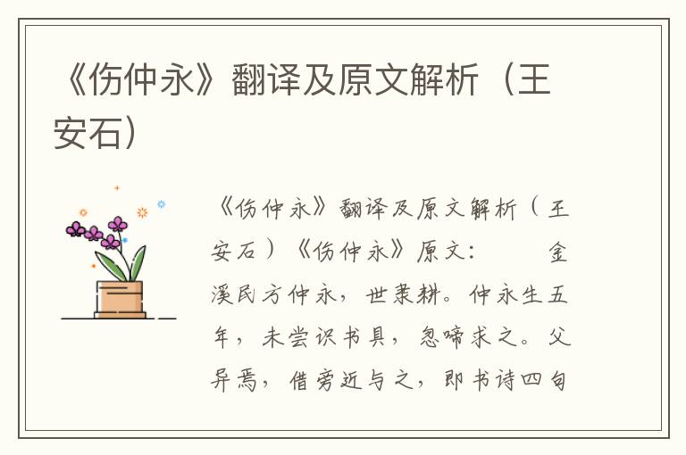 《伤仲永》翻译及原文解析（王安石）