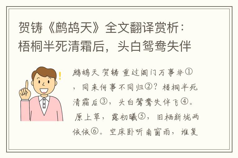 贺铸《鹧鸪天》全文翻译赏析：梧桐半死清霜后，头白鸳鸯失伴飞