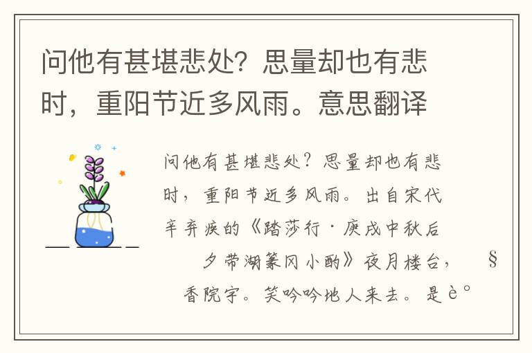 问他有甚堪悲处？思量却也有悲时，重阳节近多风雨。意思翻译、赏析