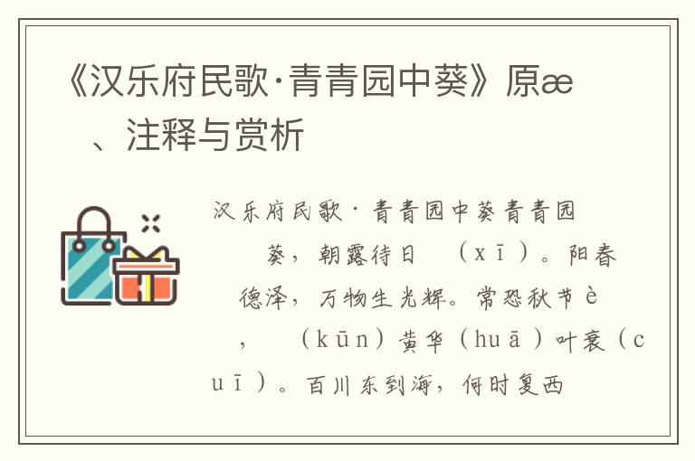 《汉乐府民歌·青青园中葵》原文、注释与赏析