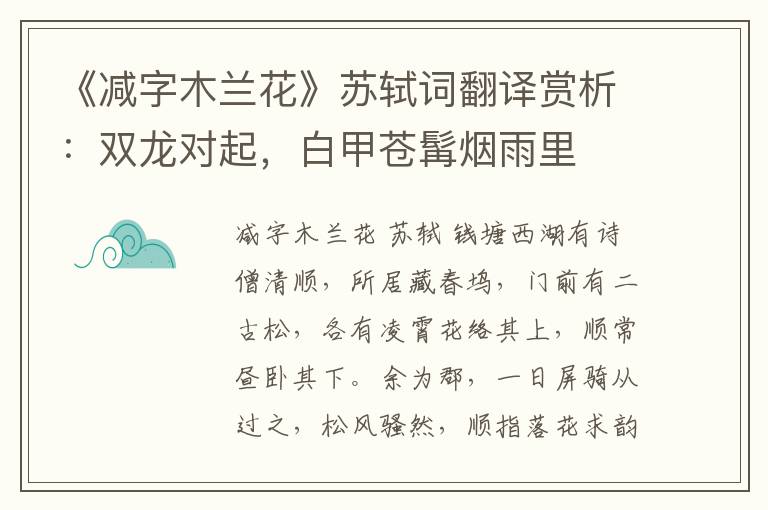 《减字木兰花》苏轼词翻译赏析：双龙对起，白甲苍髯烟雨里