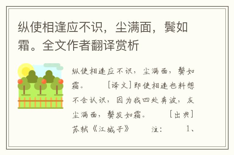 纵使相逢应不识，尘满面，鬓如霜。全文作者翻译赏析