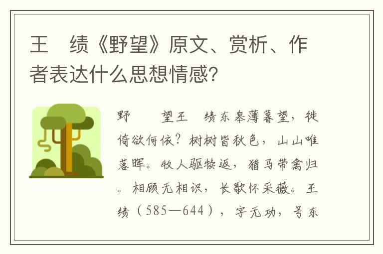 王　绩《野望》原文、赏析、作者表达什么思想情感？