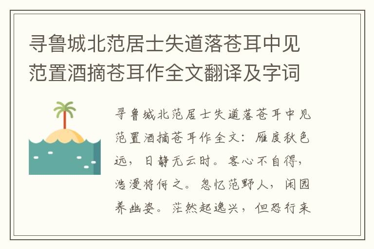 寻鲁城北范居士失道落苍耳中见范置酒摘苍耳作全文翻译及字词句解释（李白）