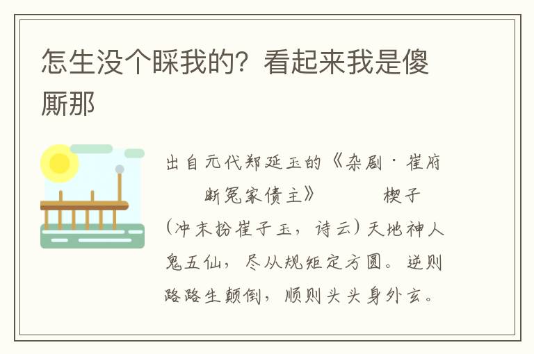 怎生没个睬我的？看起来我是傻厮那