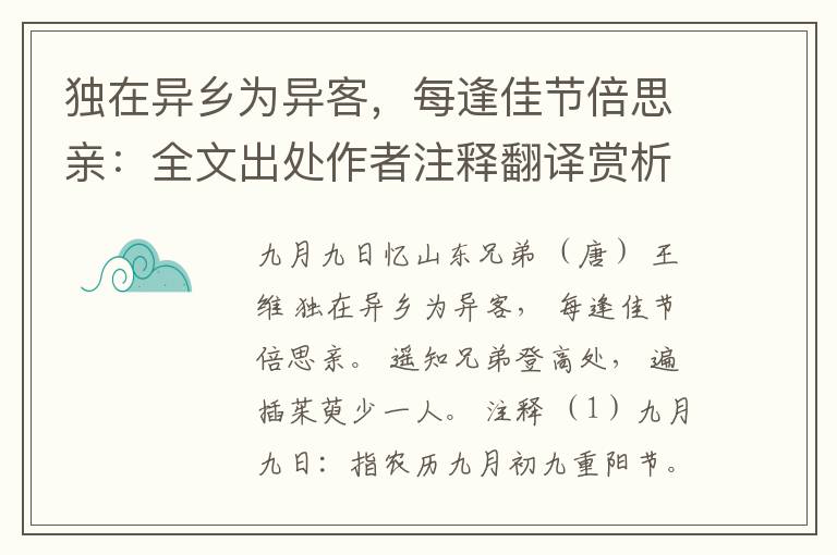 独在异乡为异客，每逢佳节倍思亲：全文出处作者注释翻译赏析