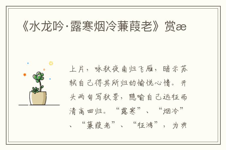 《水龙吟·露寒烟冷蒹葭老》赏析