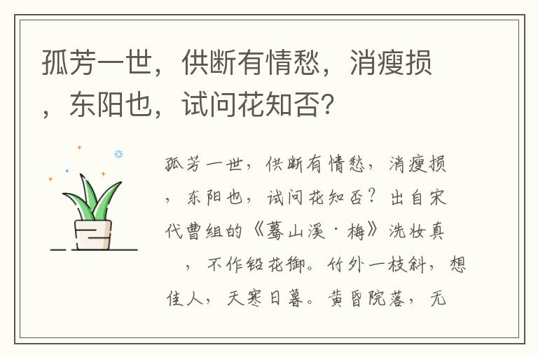 孤芳一世，供断有情愁，消瘦损，东阳也，试问花知否？