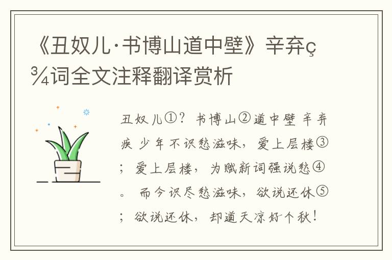 《丑奴儿·书博山道中壁》辛弃疾词全文注释翻译赏析