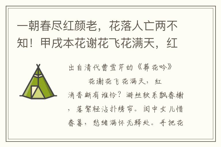 一朝春尽红颜老，花落人亡两不知！甲戌本花谢花飞花满天，红消香断有谁怜？游丝软系飘春榭，落絮轻沾扑绣帘