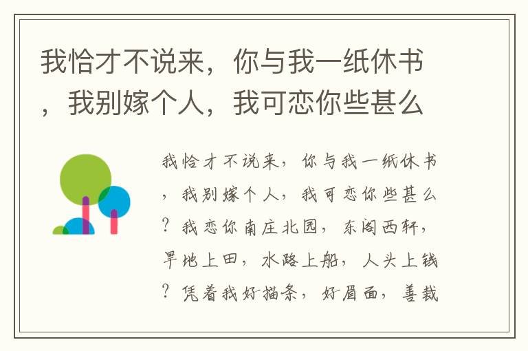 我恰才不说来，你与我一纸休书，我别嫁个人，我可恋你些甚么？我恋你南庄北园，东阁西轩，旱地上田，水路上船，人头上钱？凭着我好描条，好眉面，善裁剪，善针线，我又无儿女厮牵连，那里不嫁个大官员？对着天曾罚愿