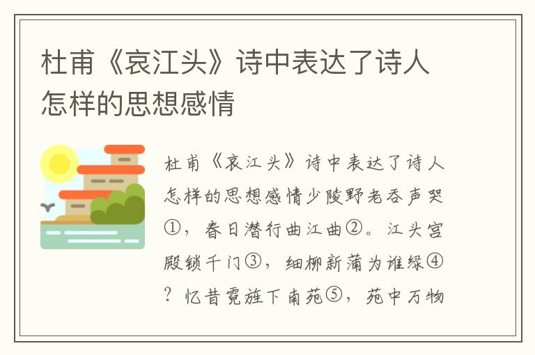 杜甫《哀江头》诗中表达了诗人怎样的思想感情