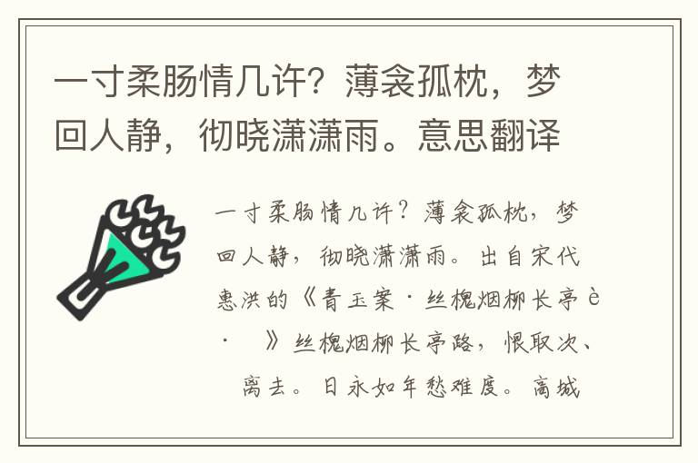 一寸柔肠情几许？薄衾孤枕，梦回人静，彻晓潇潇雨。意思翻译、赏析