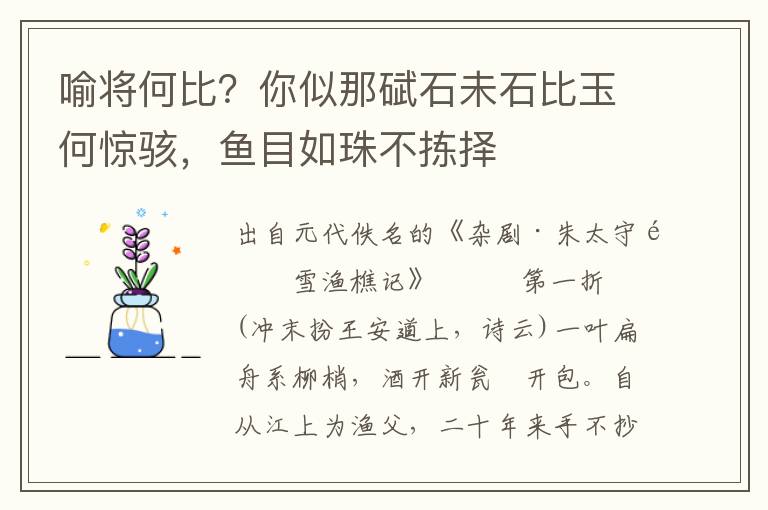 喻将何比？你似那碔石未石比玉何惊骇，鱼目如珠不拣择