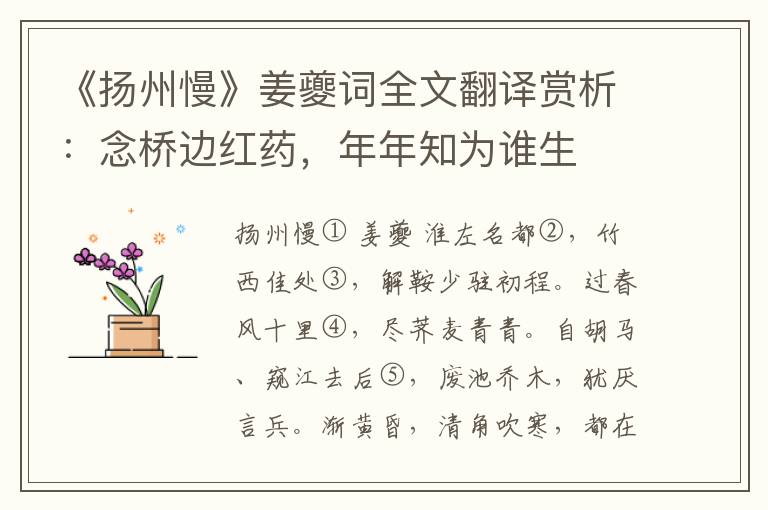 《扬州慢》姜夔词全文翻译赏析：念桥边红药，年年知为谁生