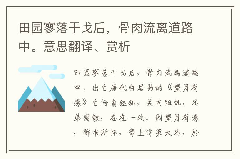 田园寥落干戈后，骨肉流离道路中。意思翻译、赏析