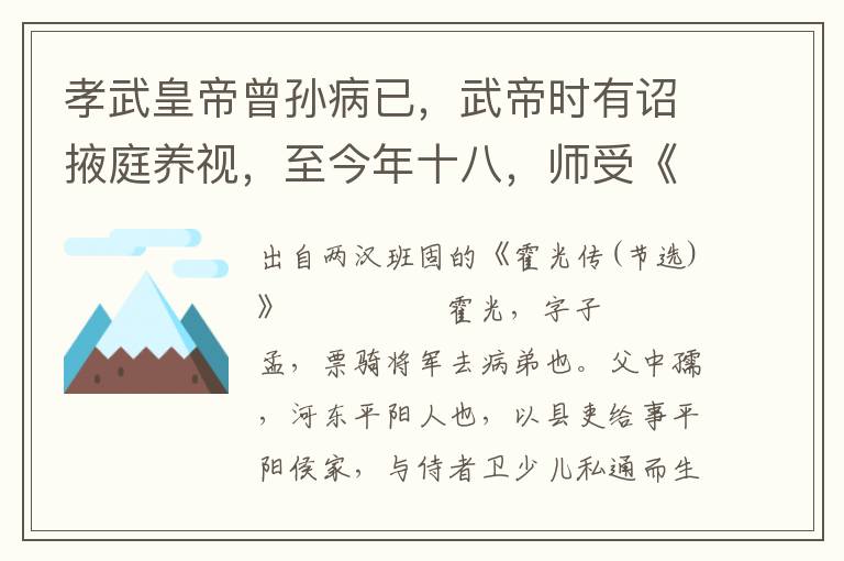 孝武皇帝曾孙病已，武帝时有诏掖庭养视，至今年十八，师受《诗》、《论语》、《孝经》，躬行节俭，慈仁爱人，可以嗣孝昭皇帝后，奉承祖宗庙，子万姓