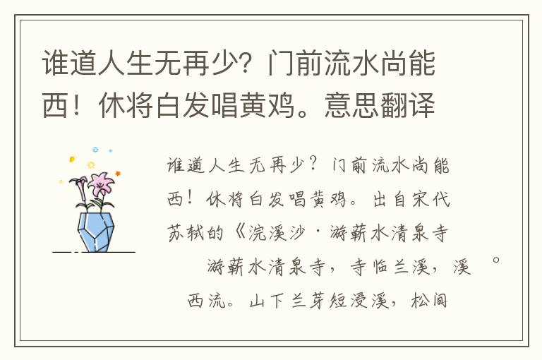 谁道人生无再少？门前流水尚能西！休将白发唱黄鸡。意思翻译、赏析