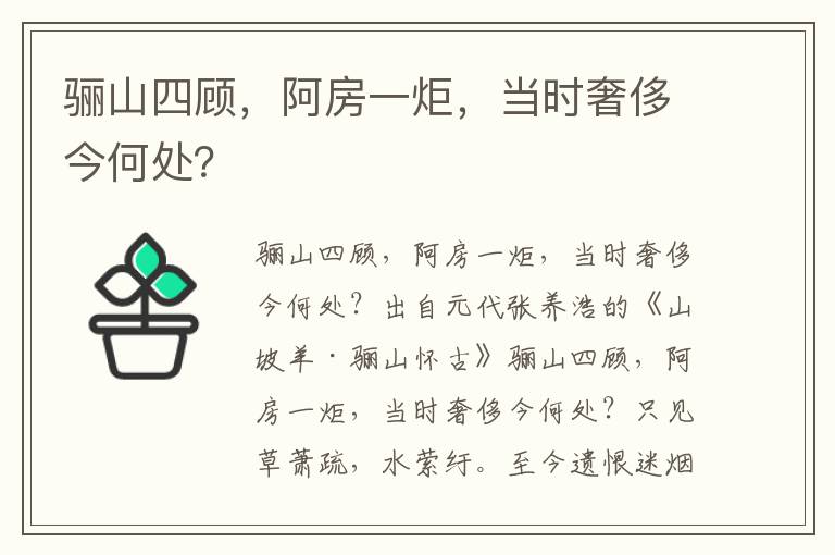 骊山四顾，阿房一炬，当时奢侈今何处？