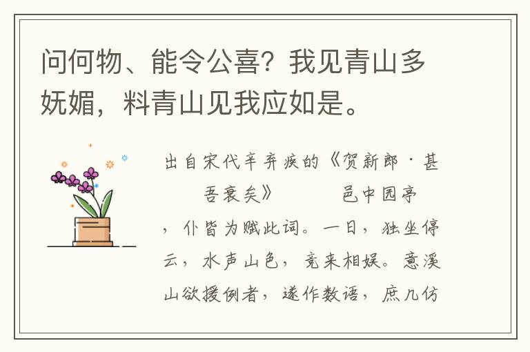 问何物、能令公喜？我见青山多妩媚，料青山见我应如是。