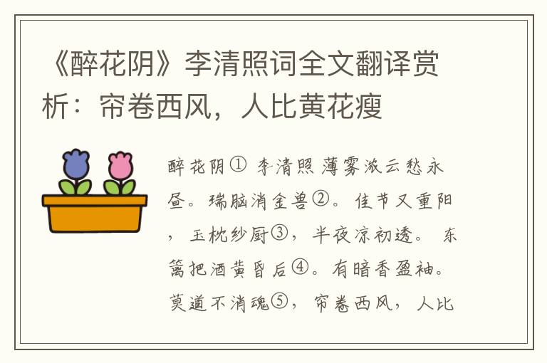 《醉花阴》李清照词全文翻译赏析：帘卷西风，人比黄花瘦