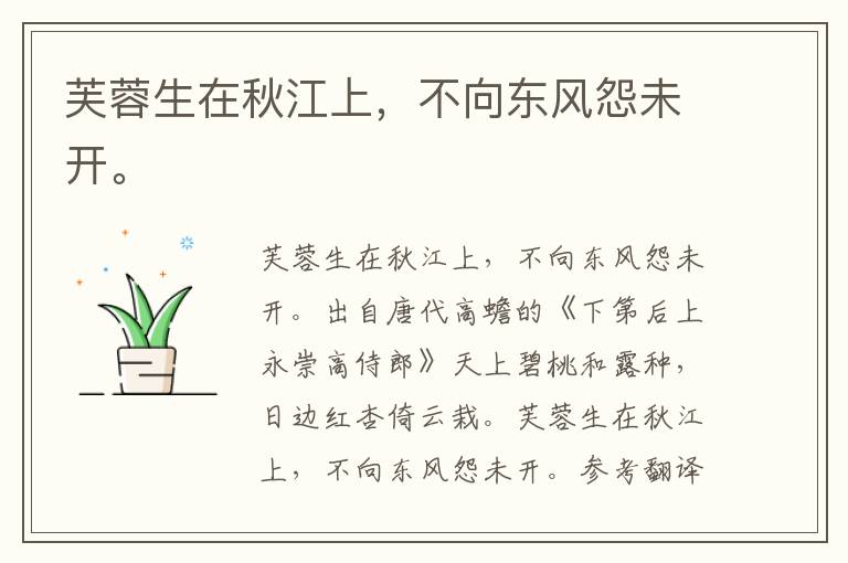 芙蓉生在秋江上，不向东风怨未开。