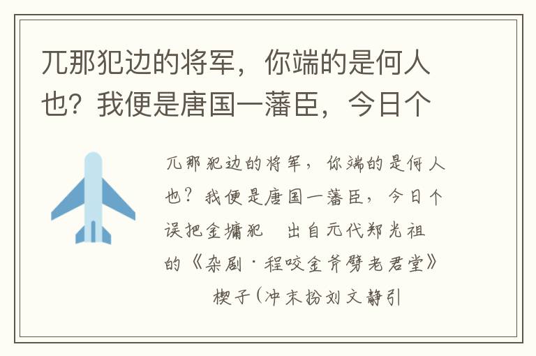 兀那犯边的将军，你端的是何人也？我便是唐国一藩臣，今日个误把金墉犯