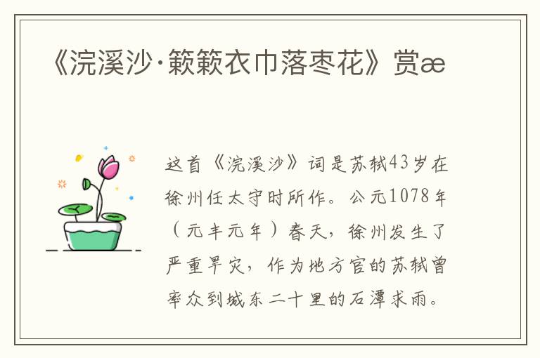 《浣溪沙·簌簌衣巾落枣花》赏析