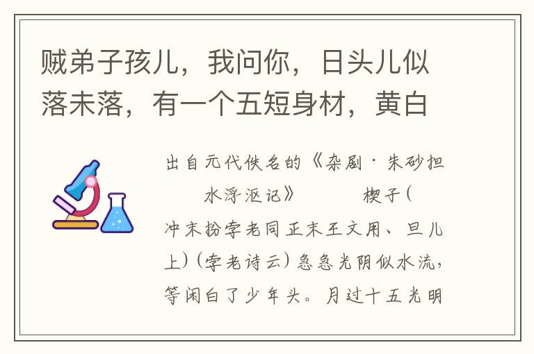 贼弟子孩儿，我问你，日头儿似落未落，有一个五短身材，黄白色脸儿小后生，挑着两个笼儿，在这里寻宿来么？从清晨到晚，没有一个人