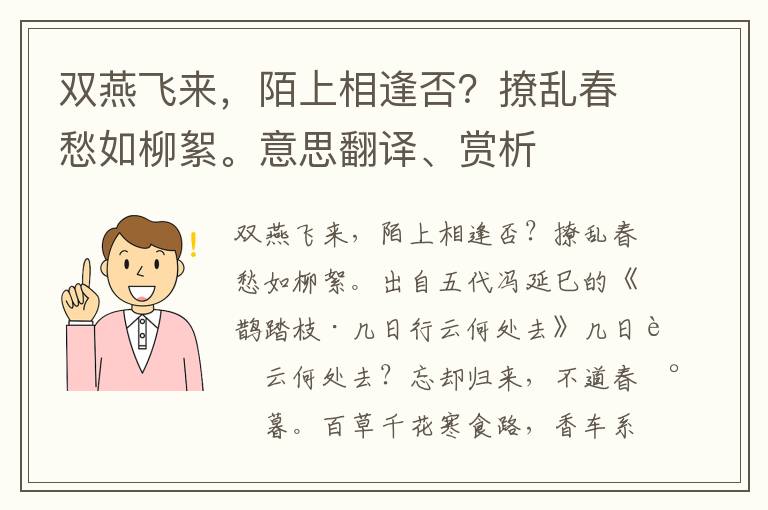 双燕飞来，陌上相逢否？撩乱春愁如柳絮。意思翻译、赏析