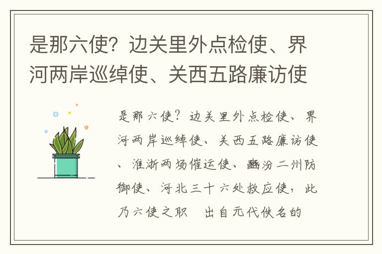 是那六使？边关里外点检使、界河两岸巡绰使、关西五路廉访使、淮浙两场催运使、豳汾二州防御使、河北三十六处救应使，此乃六使之职