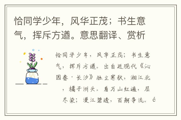 恰同学少年，风华正茂；书生意气，挥斥方遒。意思翻译、赏析