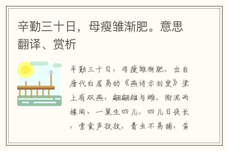 辛勤三十日，母瘦雏渐肥。意思翻译、赏析