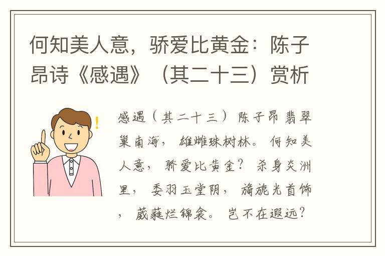 何知美人意，骄爱比黄金：陈子昂诗《感遇》（其二十三）赏析