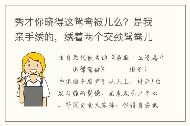 秀才你晓得这鸳鸯被儿么？是我亲手绣的，绣着两个交颈鸳鸯儿