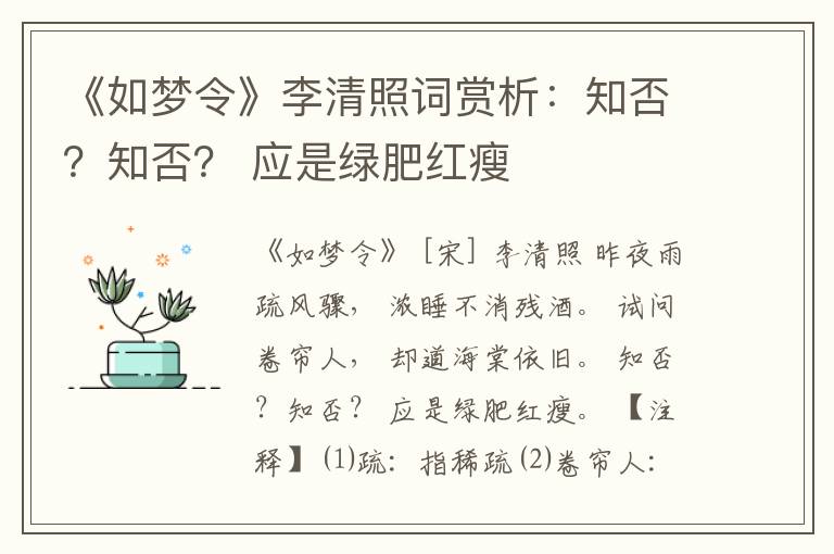 《如梦令》李清照词赏析：知否？知否？ 应是绿肥红瘦