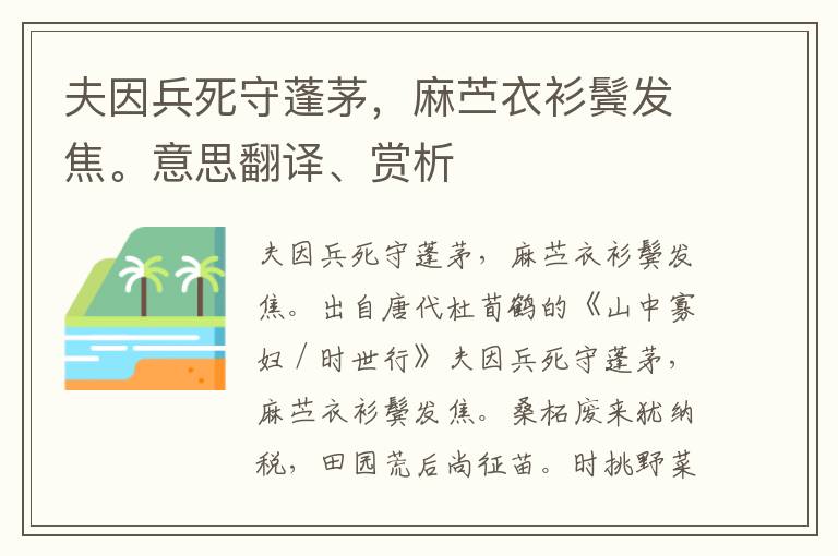 夫因兵死守蓬茅，麻苎衣衫鬓发焦。意思翻译、赏析